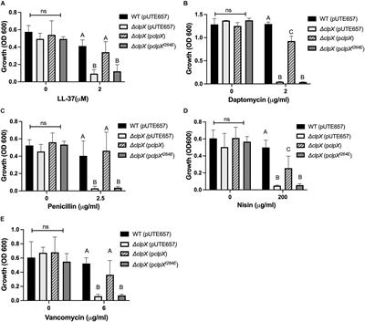 Loss of the ClpXP Protease Leads to Decreased Resistance to Cell-Envelope Targeting Antimicrobials in Bacillus anthracis Sterne